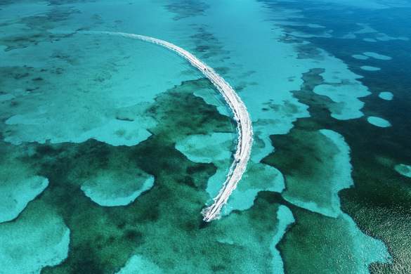 MSC Cruises Bahamas Ocean Cay MSC Marine Reserve Waverunner ©Conrad Schutt MSC Rights.jpg